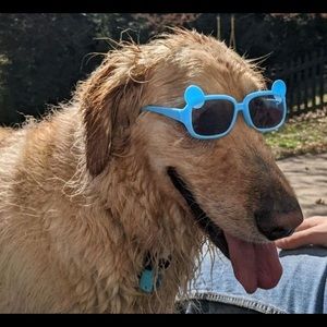 Meet your Posher, Vicki